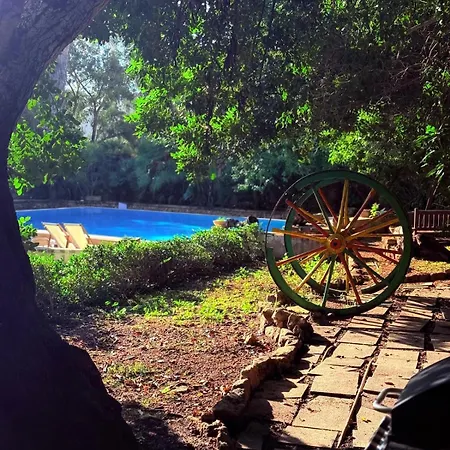 Palazzo Dallo 4* 마르사실로크