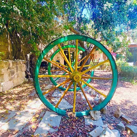 ゲストハウス Palazzo Dallo 4*